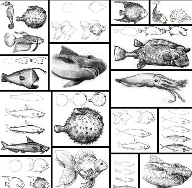 Learn How to Draw Aquatic Animals - For the Absolute Beginner
