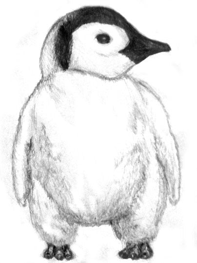 How to draw a penguin using pencil