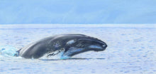 Load image into Gallery viewer, Learn How to Airbrush Aquatic Animals for the Beginner