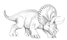 Load image into Gallery viewer, Drawing Dinosaurs - How to draw dinosaurs for absolute beginners