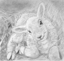Load image into Gallery viewer, Learn How to Draw Portraits of Domestic Animals in Pencil For the Absolute Beginner