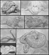 Load image into Gallery viewer, Learn How to Draw Reptiles in Pencil For the Absolute Beginner