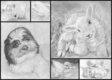 Load image into Gallery viewer, Learn How to Draw Portraits of Domestic Animals in Pencil For the Absolute Beginner