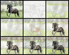 Load image into Gallery viewer, Learn to Paint Horses and Dogs In Watercolor For The Absolute Beginner