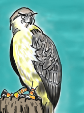 Load image into Gallery viewer, Learn How to Draw Animal Cartoons For the Beginner