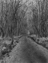 Load image into Gallery viewer, Drawing - Drawing with Charcoal For Beginners - Step By Step Guide to Drawing Landscapes – Portraits – Animals