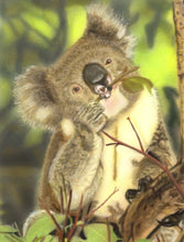 Load image into Gallery viewer, Learn How to Airbrush Animals For the Beginner