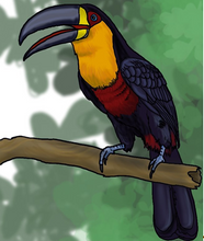 Load image into Gallery viewer, How to Draw Birds for Kids