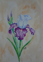 Load image into Gallery viewer, How to Paint Flowers In Water Colors Step by Step Lessons