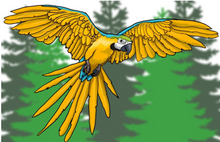 Load image into Gallery viewer, How to Draw Birds for Kids