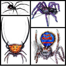 Load image into Gallery viewer, Drawing Spiders Volume 1 - How to Draw Spiders For the Beginner