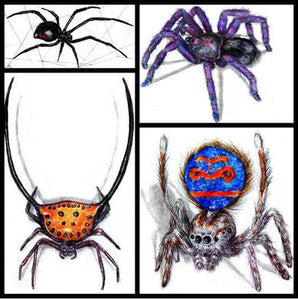 Drawing Spiders Volume 1 - How to Draw Spiders For the Beginner