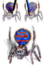 Load image into Gallery viewer, Drawing Spiders Volume 1 - How to Draw Spiders For the Beginner