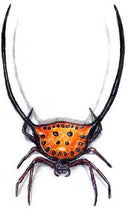 Load image into Gallery viewer, Drawing Spiders Volume 1 - How to Draw Spiders For the Beginner