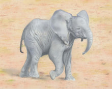 Load image into Gallery viewer, Learn How to Airbrush Animals For the Beginner