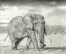 Load image into Gallery viewer, Learn How to Draw Portraits of African Animals in Charcoal For the Beginner