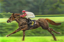 Load image into Gallery viewer, Learn How to Draw and Paint Horses for Beginners