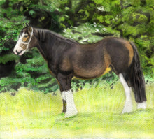 Load image into Gallery viewer, Learn How to Draw and Paint Horses for Beginners