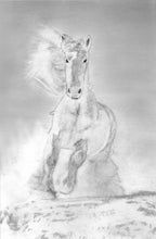 Load image into Gallery viewer, Learn How to Draw and Paint Horses for Beginners