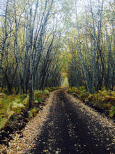Load image into Gallery viewer, Learn How to Draw Landscapes in Pencil and Charcoal For The Absolute Beginner