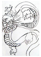 Load image into Gallery viewer, Drawing Dragons - How to Draw Mythical Creatures for the Beginner