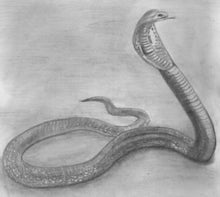 Load image into Gallery viewer, Learn How to Draw Reptiles in Pencil For the Absolute Beginner
