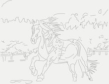 Load image into Gallery viewer, Learn to Paint Horses and Dogs In Watercolor For The Absolute Beginner