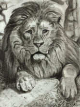 Load image into Gallery viewer, Learn How to Draw Portraits of African Animals in Charcoal For the Beginner