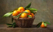 Load image into Gallery viewer, Learn How to Paint with Airbrush For Beginners