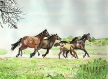 Load image into Gallery viewer, Learn to Paint Horses and Dogs In Watercolor For The Absolute Beginner