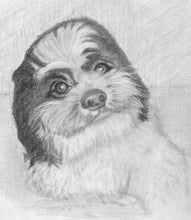 Load image into Gallery viewer, Learn How to Draw Portraits of Domestic Animals in Pencil For the Absolute Beginner