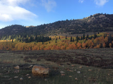 Load image into Gallery viewer, Learn How to Draw Landscapes in Pencil and Charcoal For The Absolute Beginner