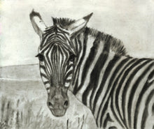 Load image into Gallery viewer, Learn How to Draw Portraits of African Animals in Charcoal For the Beginner