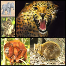Load image into Gallery viewer, Learn How to Airbrush Animals For the Beginner