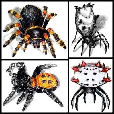 Drawing Spiders Volume 2 How to Draw Spiders For the Beginner