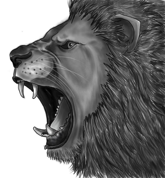 How to Draw a Growling Lion