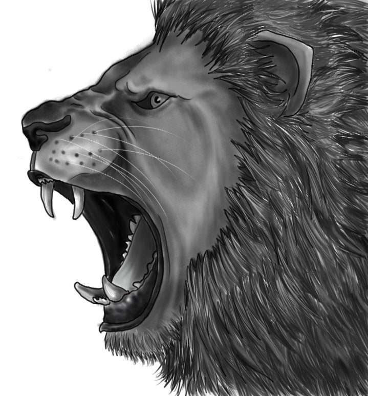 Beautiful Lion Face Sketch Tee Men's -Image by Shutterstock | Fruugo IT