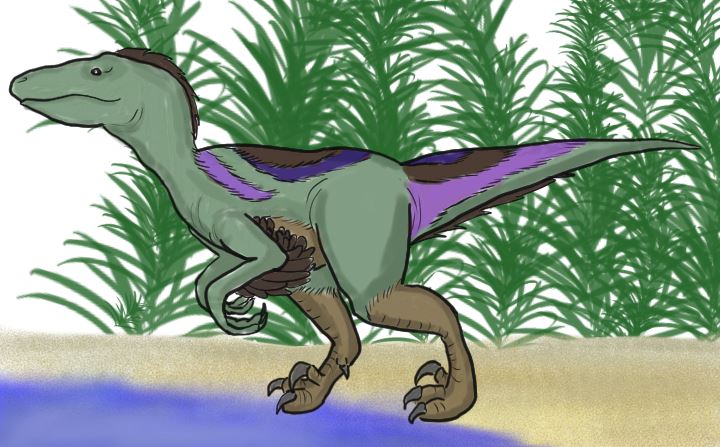 How to Draw a Cartoon Velociraptor