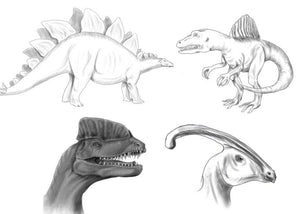 Drawing Dinosaurs - How to draw dinosaurs for absolute beginners
