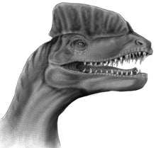 Load image into Gallery viewer, Drawing Dinosaurs - How to draw dinosaurs for absolute beginners