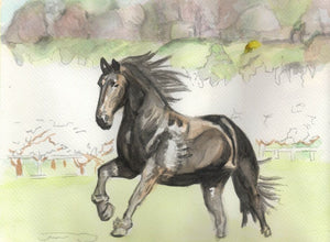 Learn to Paint Horses and Dogs In Watercolor For The Absolute Beginner
