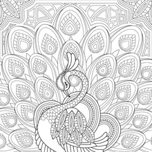Load image into Gallery viewer, Adult Coloring Book - Bird Pattern For Beginners