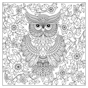 Adult Coloring Book - Bird Pattern For Beginners