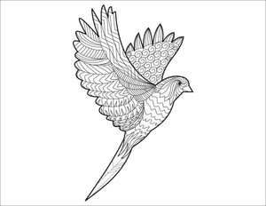 Adult Coloring Book - Bird Pattern For Beginners