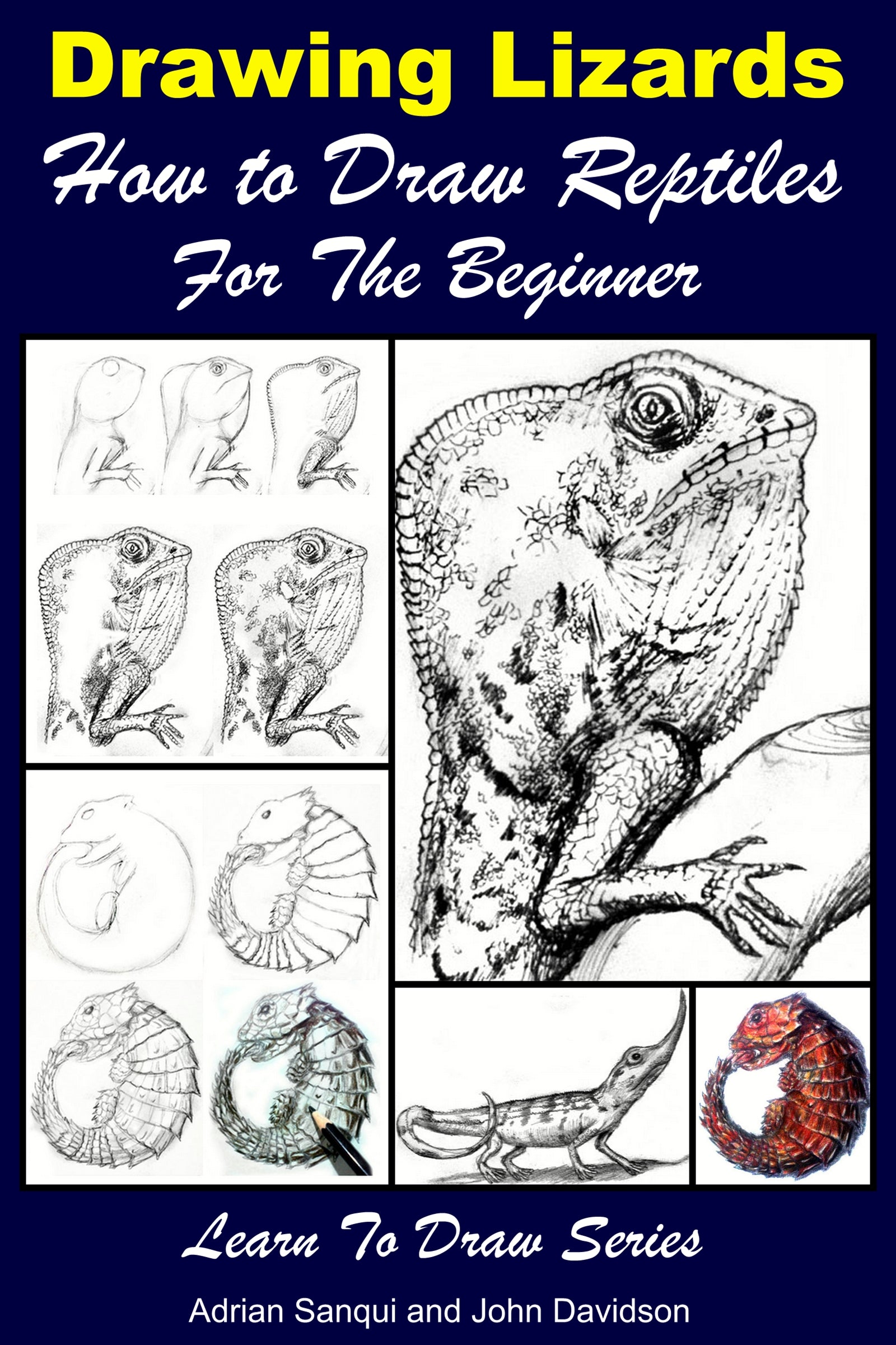 Drawing Lizards How to Draw Reptiles For the Beginner – Learn to