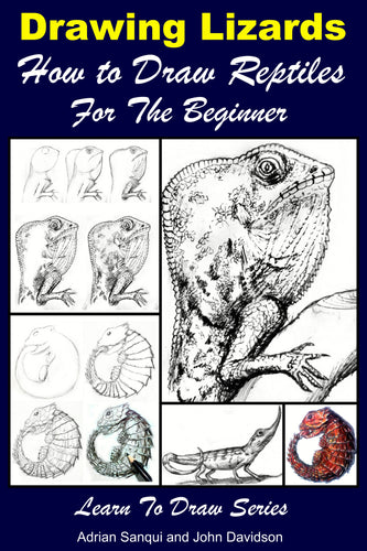 Drawing Lizards - How to Draw Reptiles For the Beginner