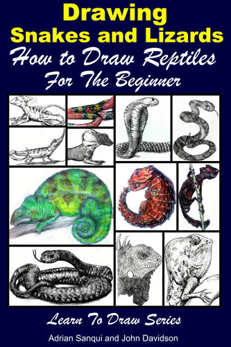 Drawing Snakes and Lizards - How to Draw Reptiles For the Beginner