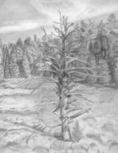 Load image into Gallery viewer, Learn How to Draw Landscapes in Pencil and Charcoal For The Absolute Beginner