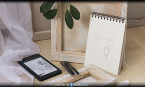 Learn How to Draw - 30 Hour Video Training Course + 30 Learn to Draw Books