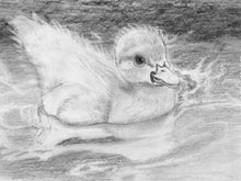Load image into Gallery viewer, Learn How to Draw Portraits of Domestic Animals in Pencil For the Absolute Beginner